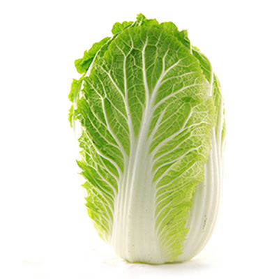 大白菜