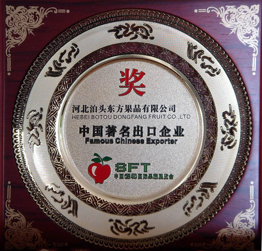 2007年中國(guó)著名出口企業(yè)