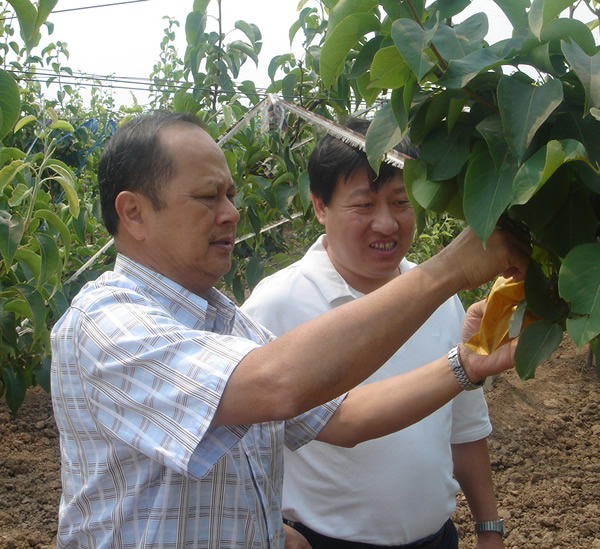 馬來(lái)西亞客人